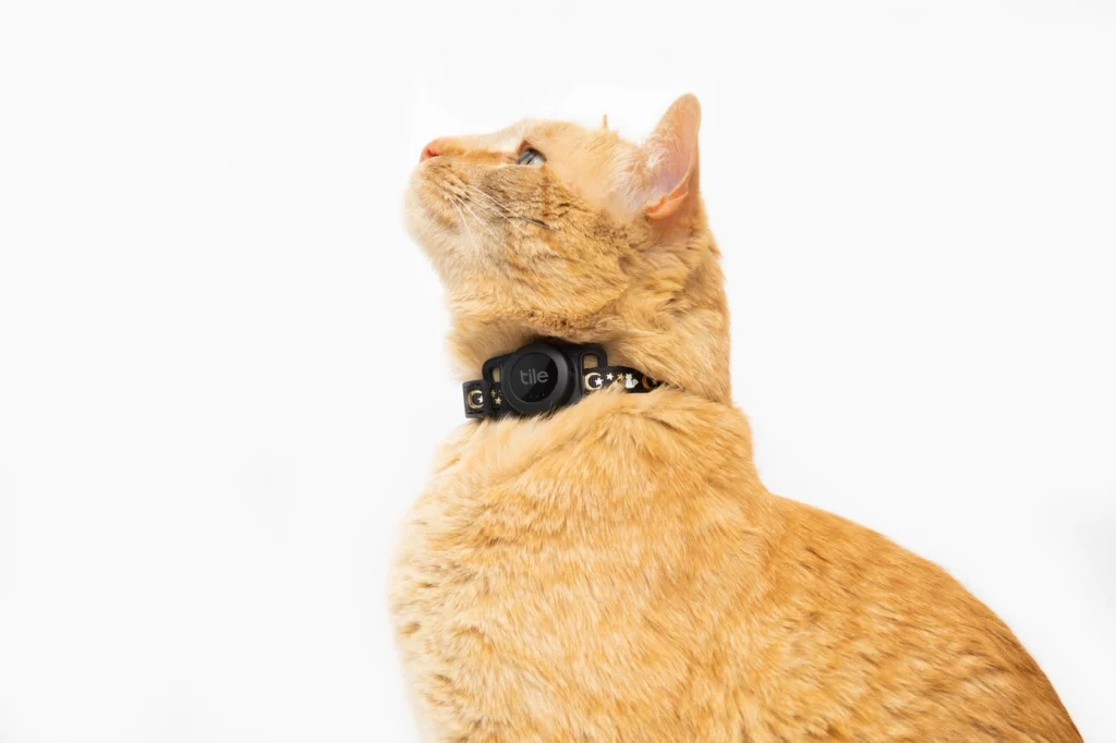 Life360_Tile_for_Cats_2