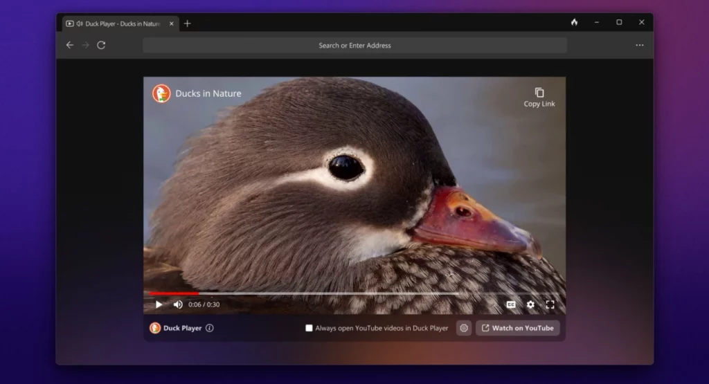 DuckDuckGo