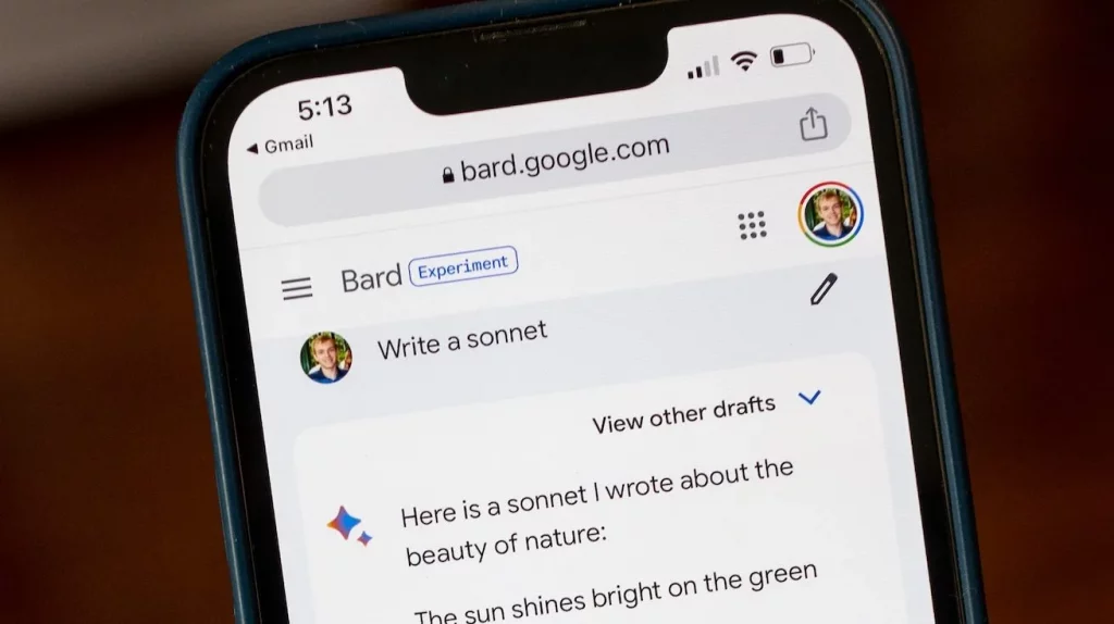 Bard در اروپا