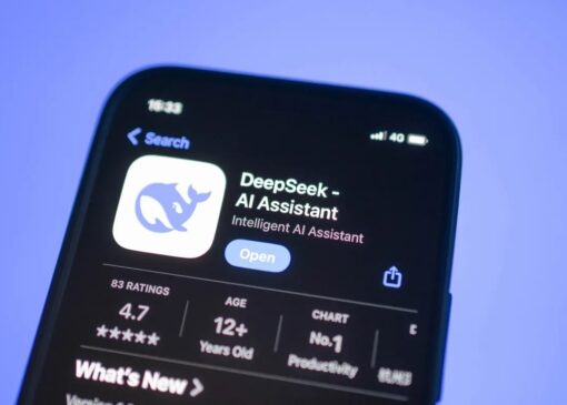 DeepSeek