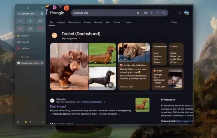 Zen Browser