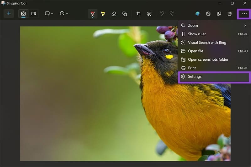 How-to-Disable-Snipping-Tool-Auto-Saving-Screenshots-1