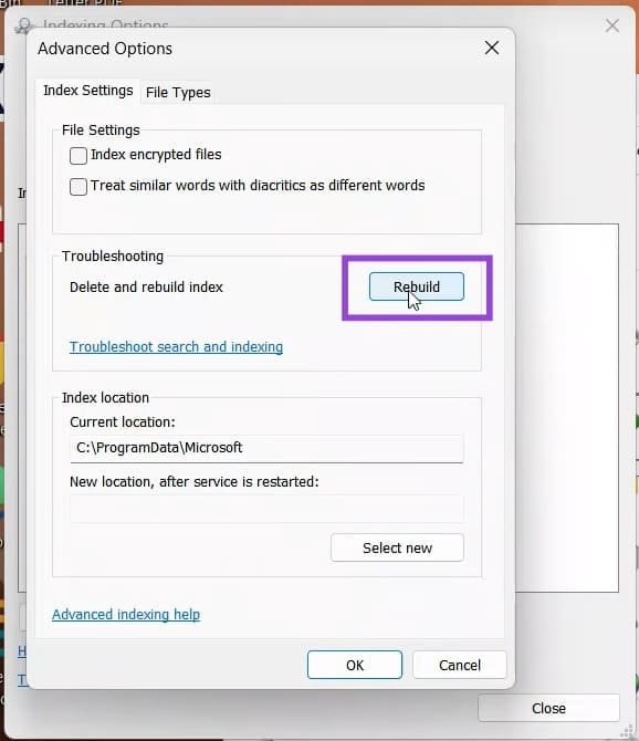 Windows-11-Search-Comes-Up-Empty-–-How-to-Fix-6