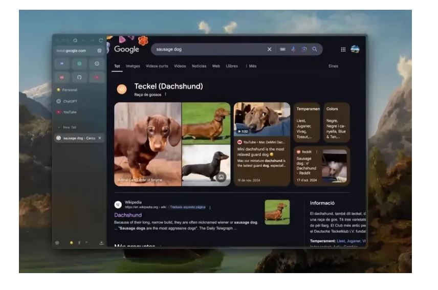 Zen Browser