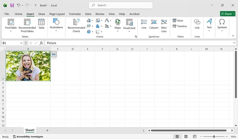 How-to-Insert-a-Picture-in-Excel-Cell-2