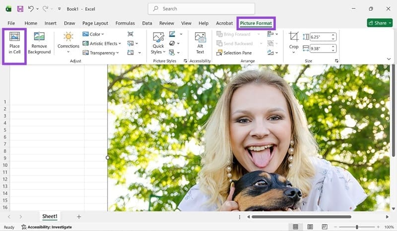 How-to-Insert-a-Picture-in-Excel-Cell-4